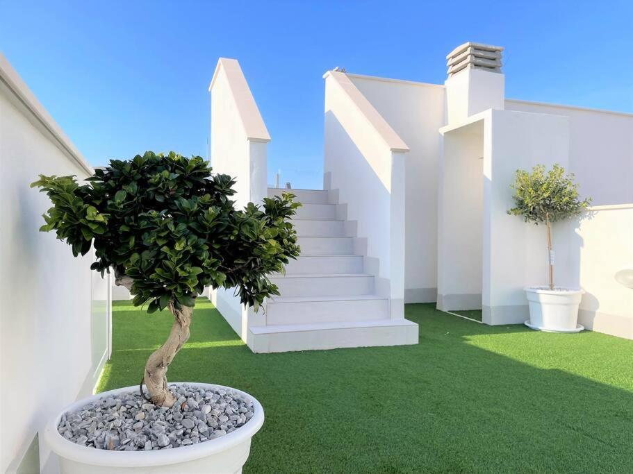 Your Spain P21 Torrevieja Exterior photo